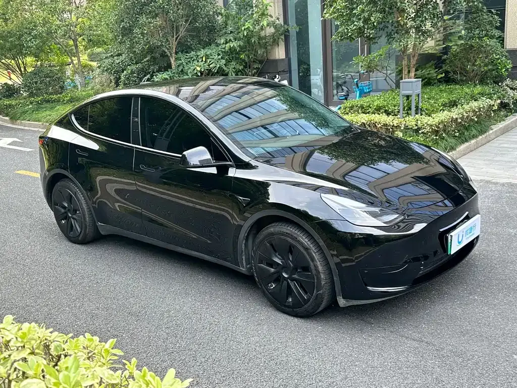 Tesla Model Y — фото 3