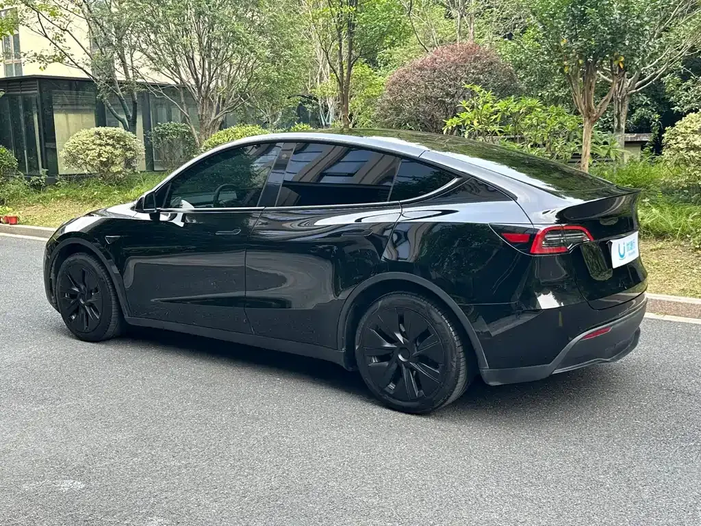 Tesla Model Y — фото 6