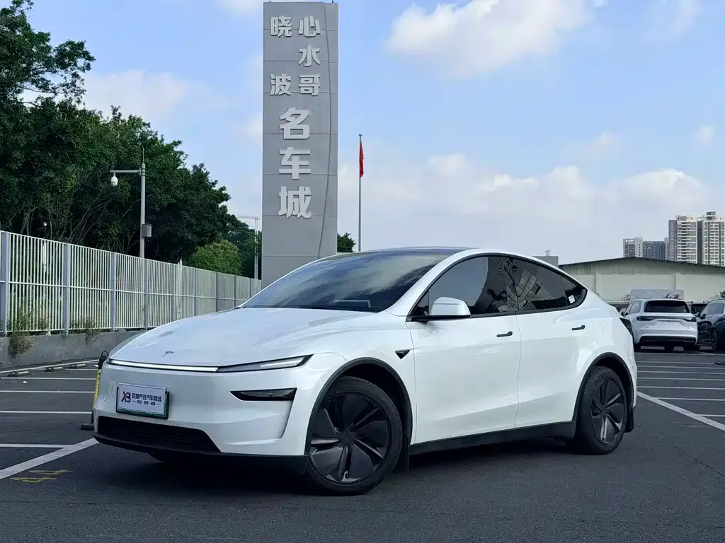 Tesla Model Y — фото 1