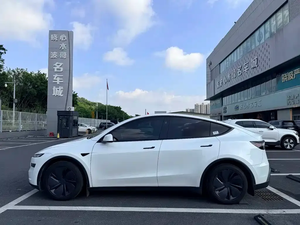Tesla Model Y — фото 9