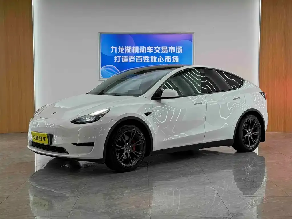 Tesla Model Y — фото 1