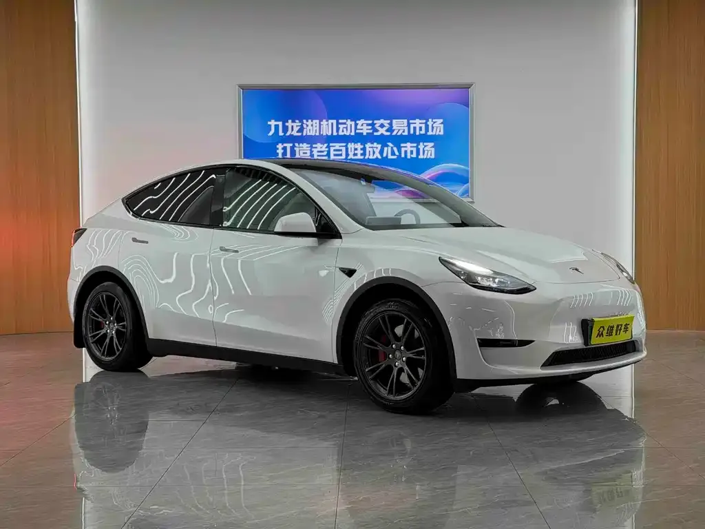 Tesla Model Y — фото 9