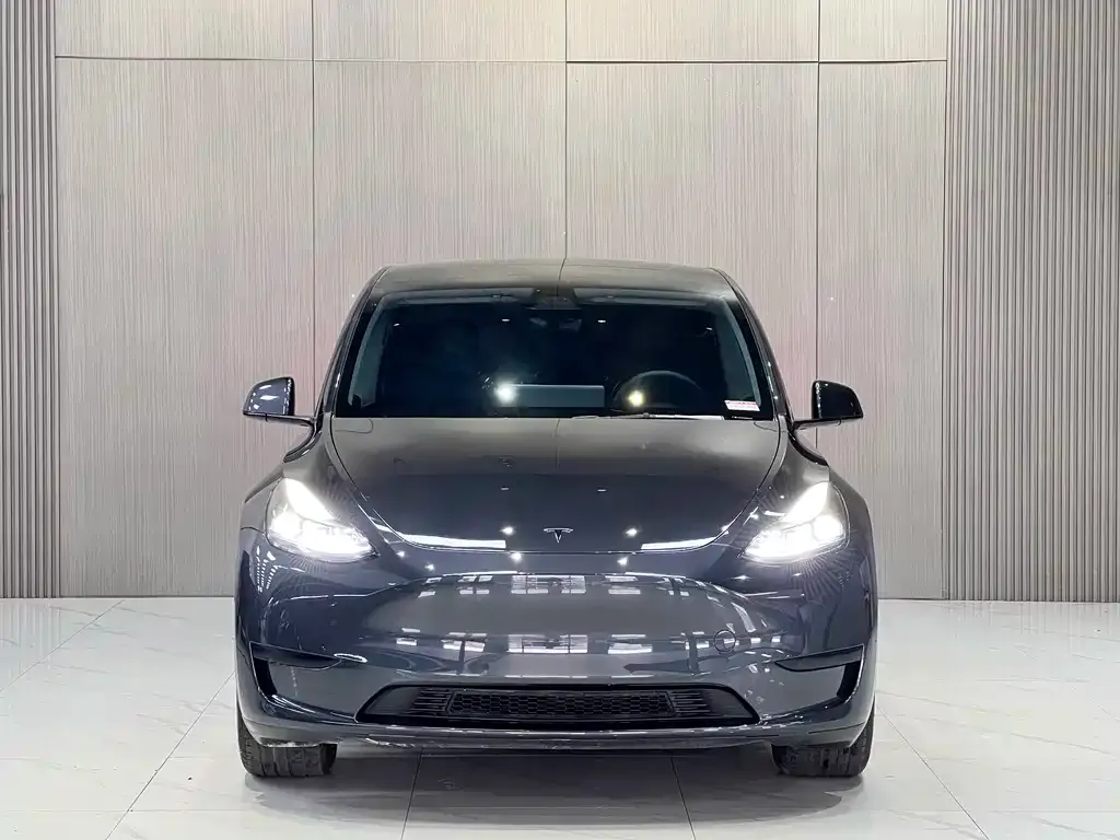 Tesla Model Y — фото 10