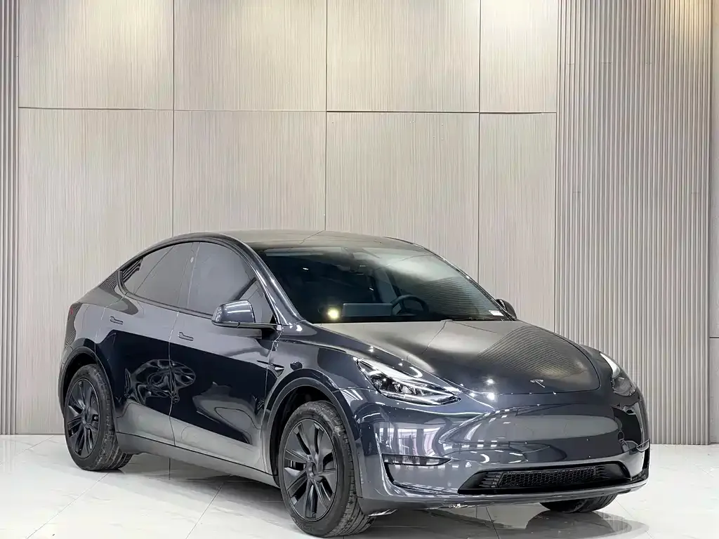 Tesla Model Y — фото 5