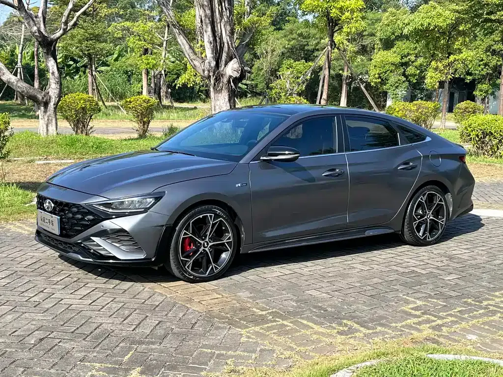 Hyundai Fista — фото 1