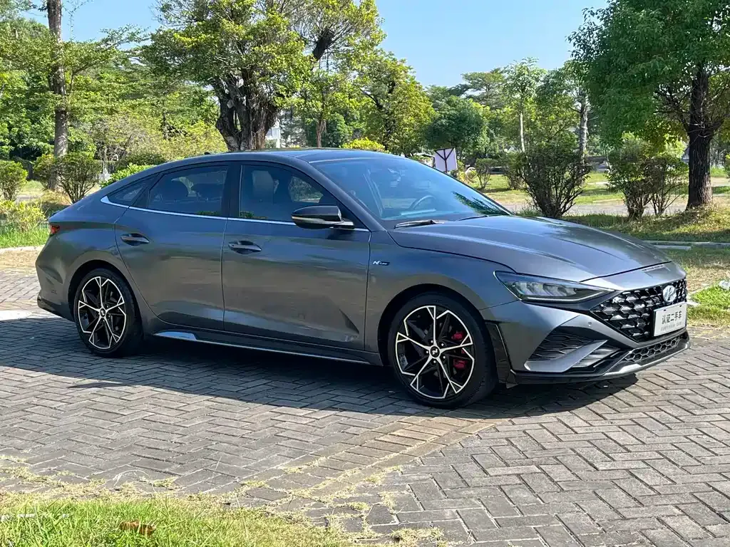 Hyundai Fista — фото 10