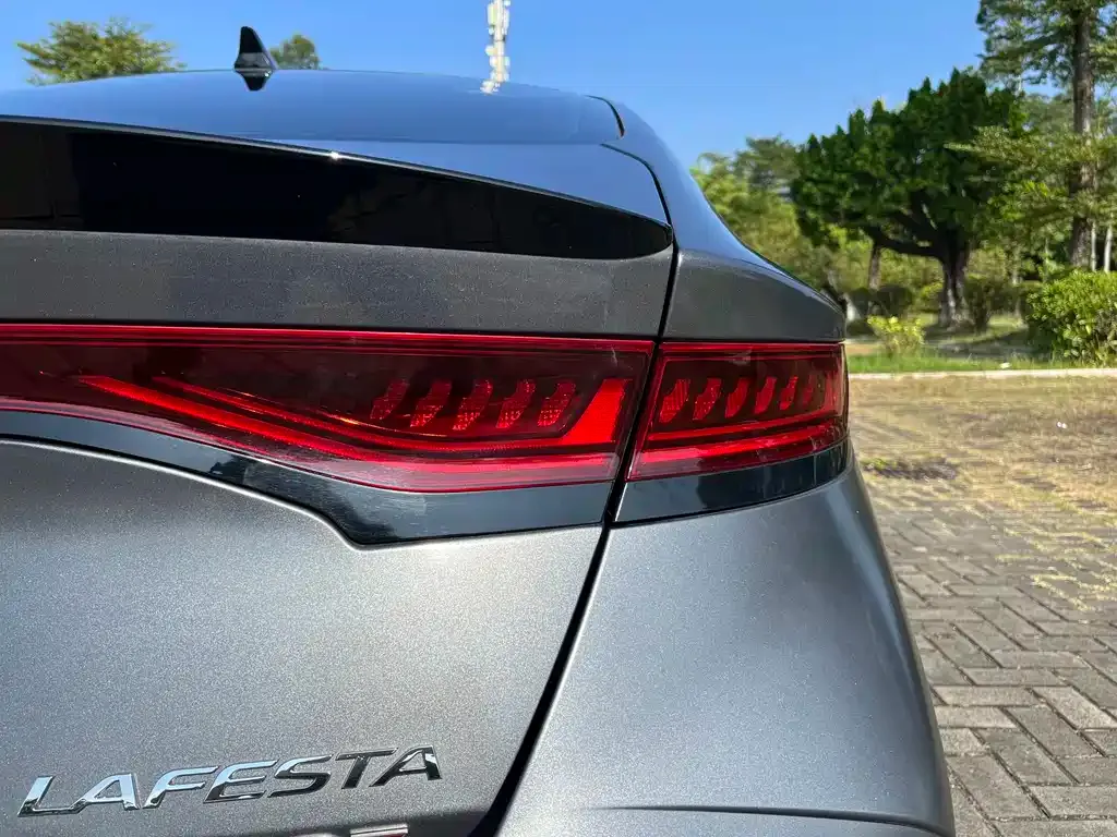 Hyundai Fista — фото 3