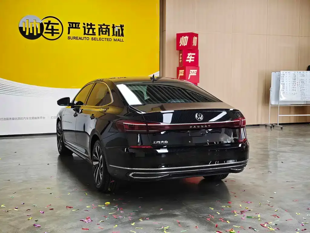 Volkswagen Passat — фото 10