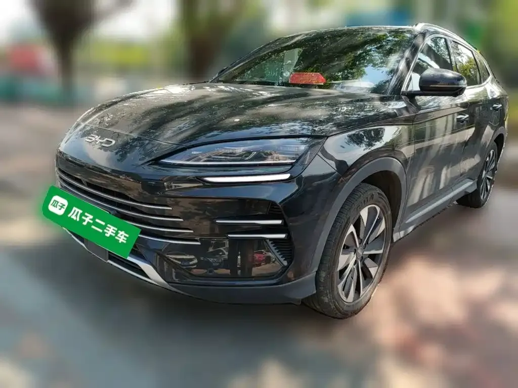 BYD PLUS New Energy — фото 1