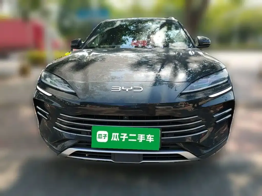 BYD PLUS New Energy — фото 8