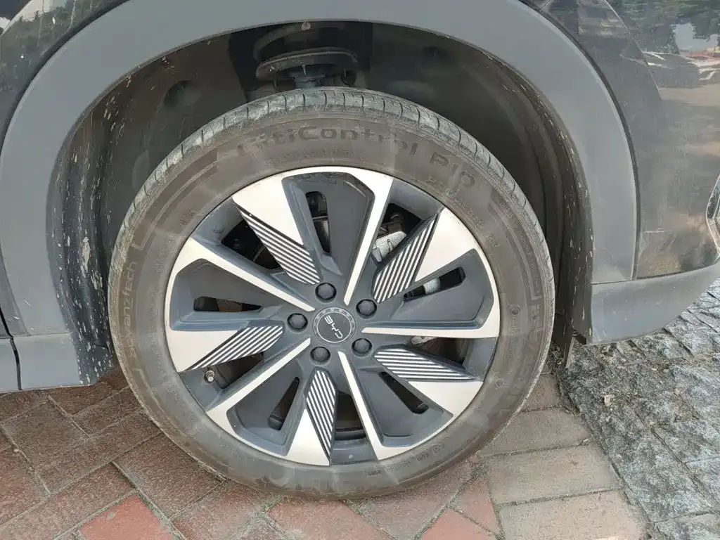 BYD PLUS New Energy — фото 10