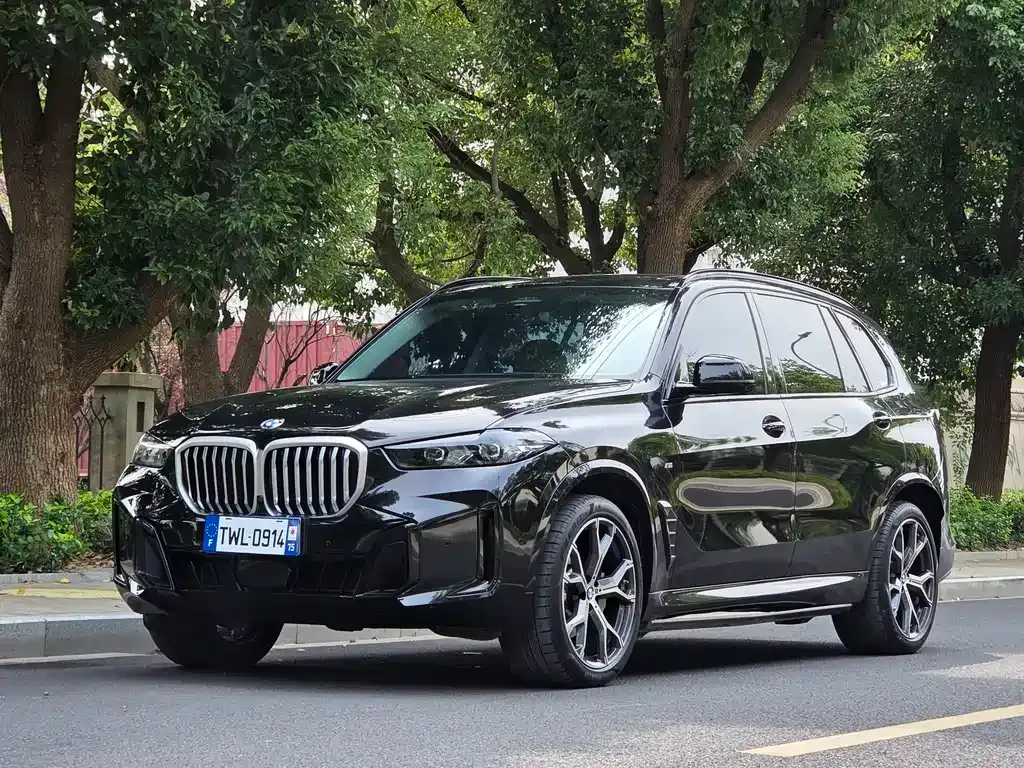 BMW X5 — фото 1