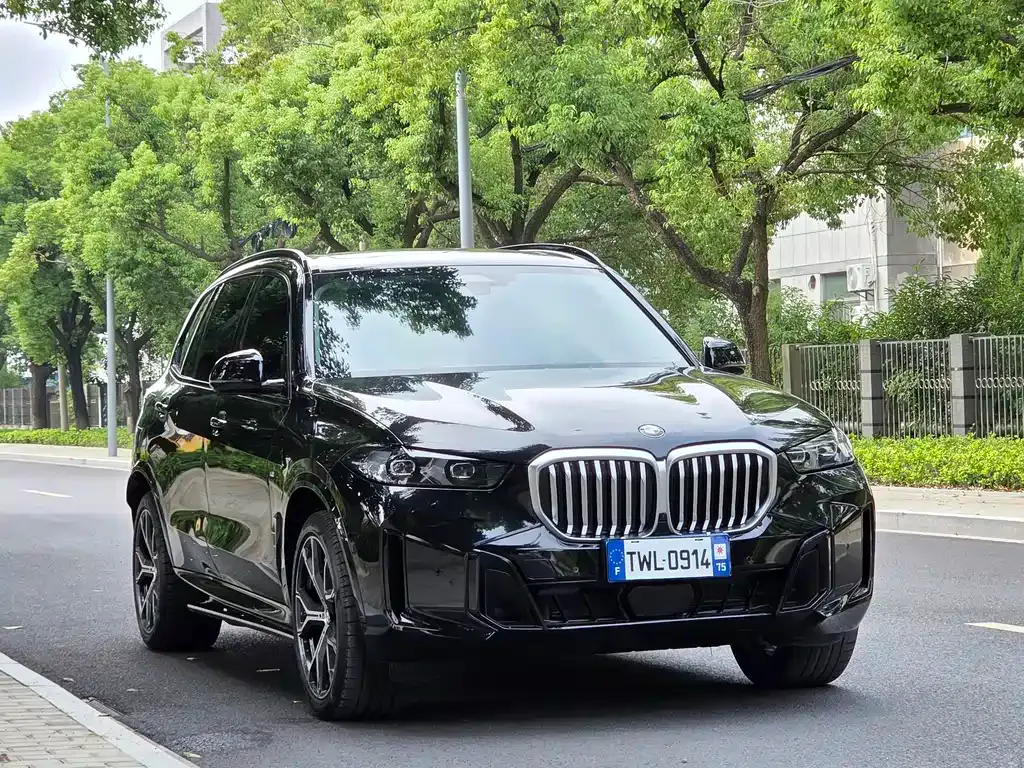 BMW X5 — фото 9