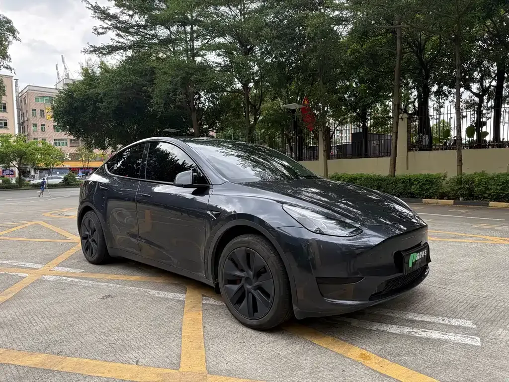 Tesla Model Y — фото 1