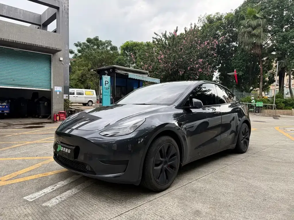 Tesla Model Y — фото 6