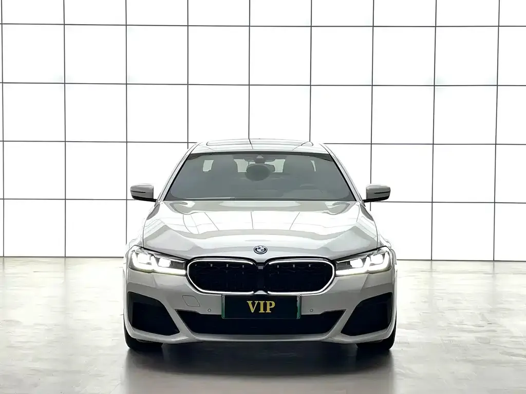 BMW 5 Series New Energy — фото 4