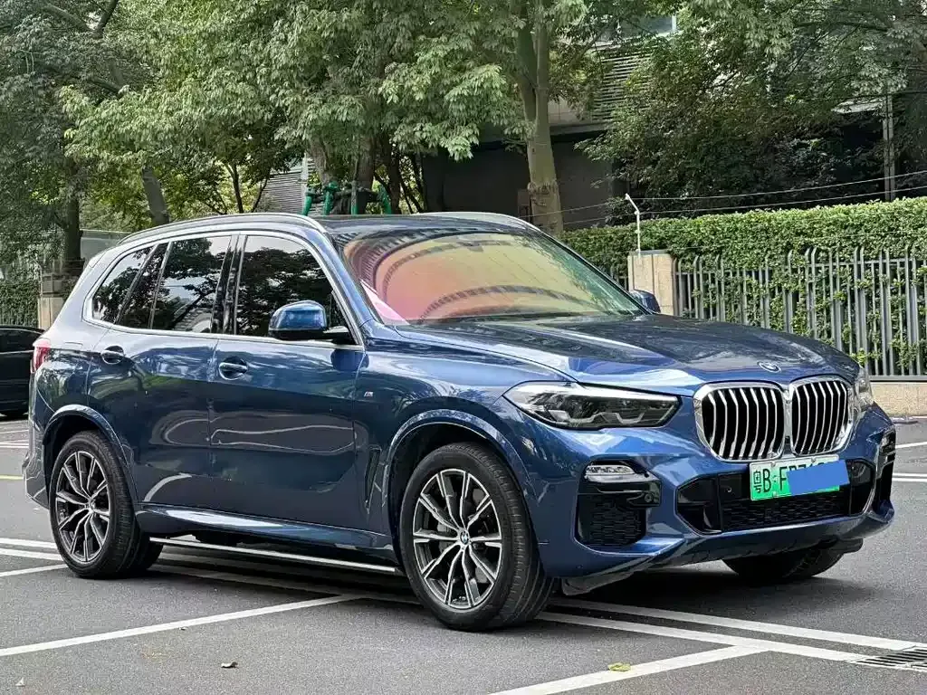 BMW X5 New Energy (Import) — фото 1