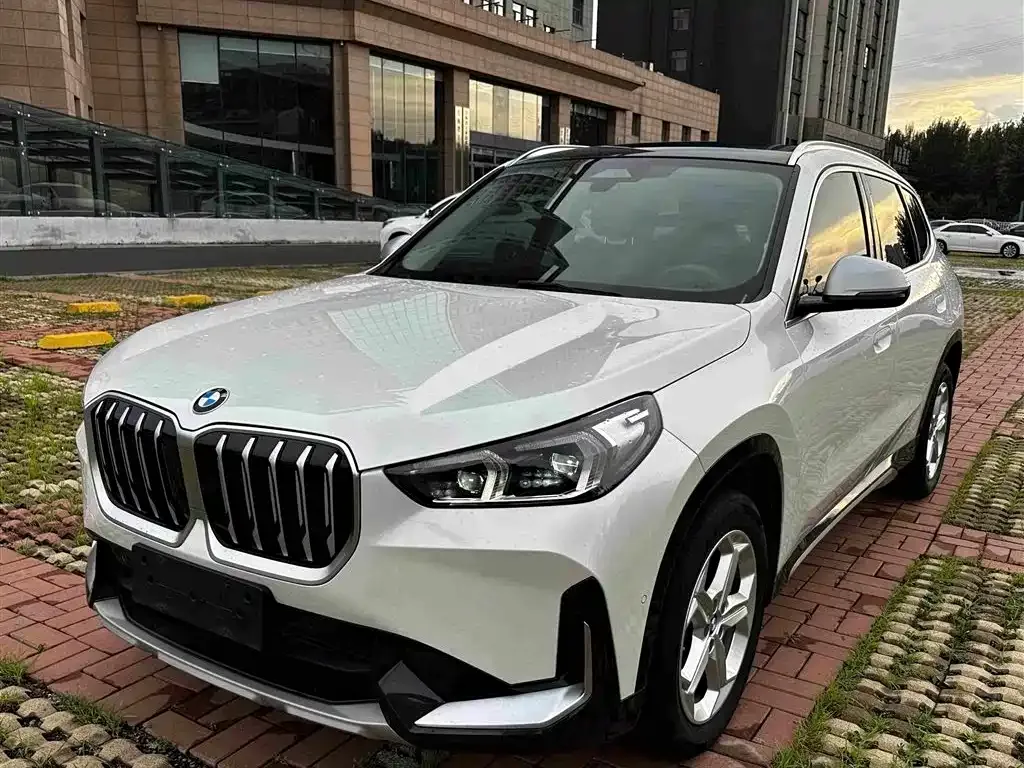 BMW X1 — фото 1