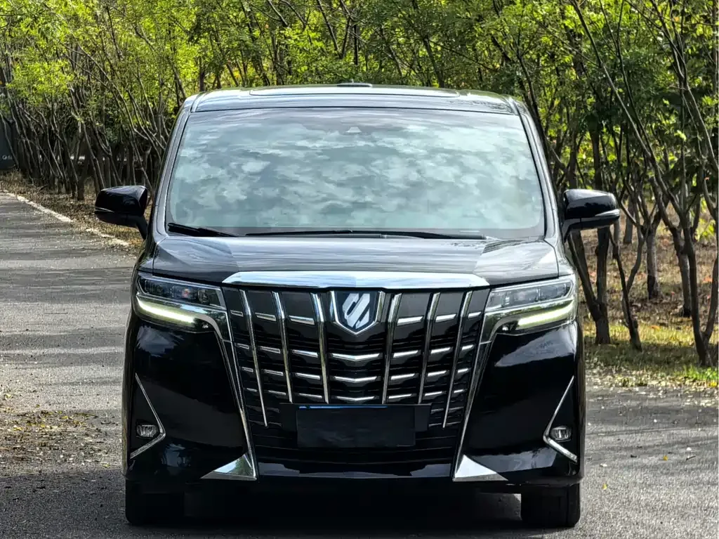 Toyota Alphard — фото 7