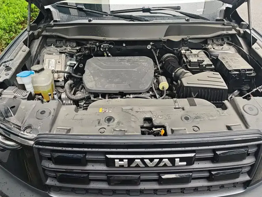 Haval Big Dog — фото 10
