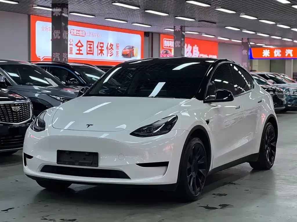 Tesla Model Y — фото 1