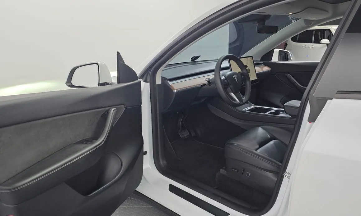 Tesla Model Y — фото 9