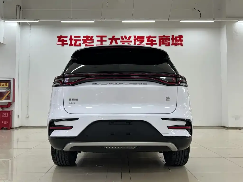 BYD Tang New Energy — фото 10