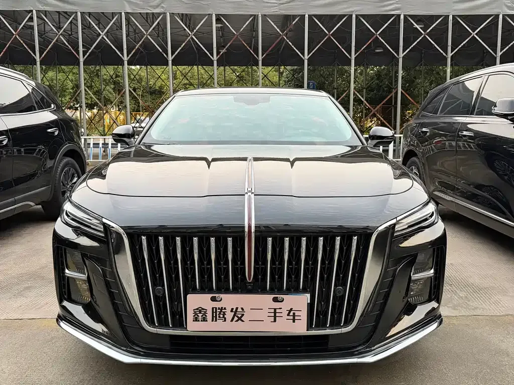 Hongqi H5 — фото 10