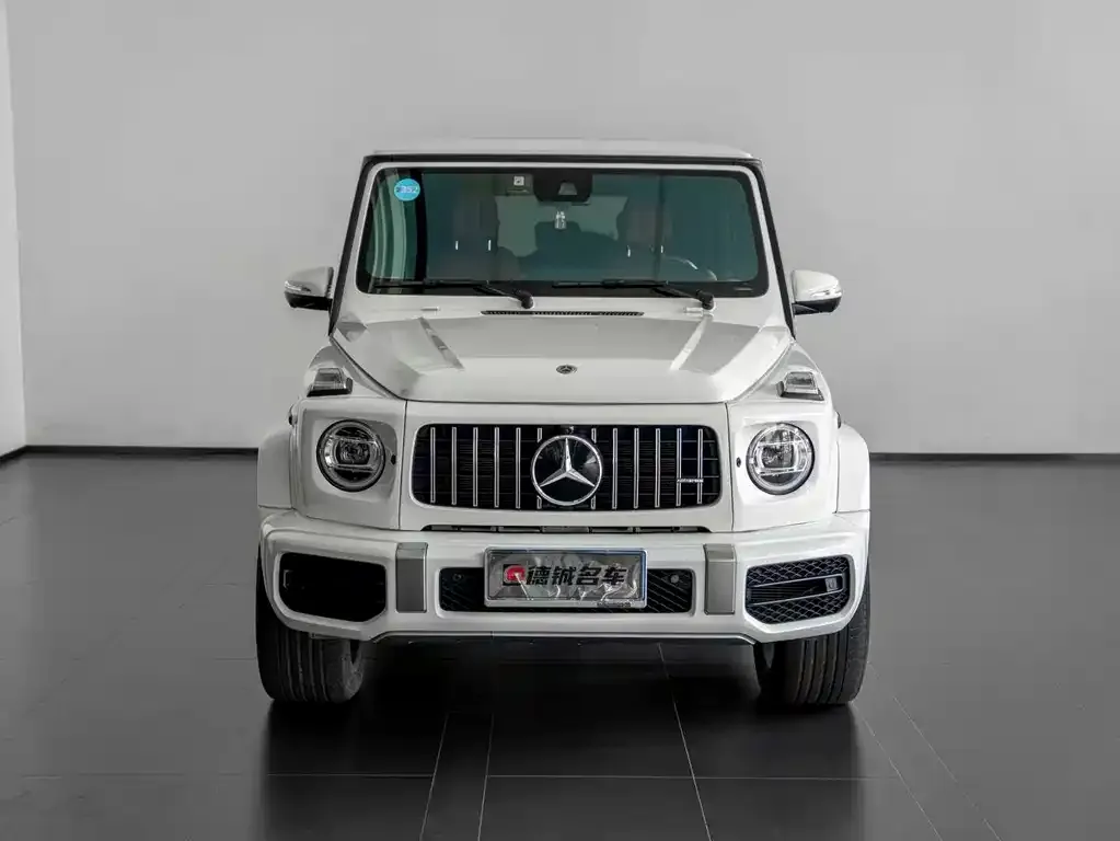 Mercedes-Benz G-Class — фото 2