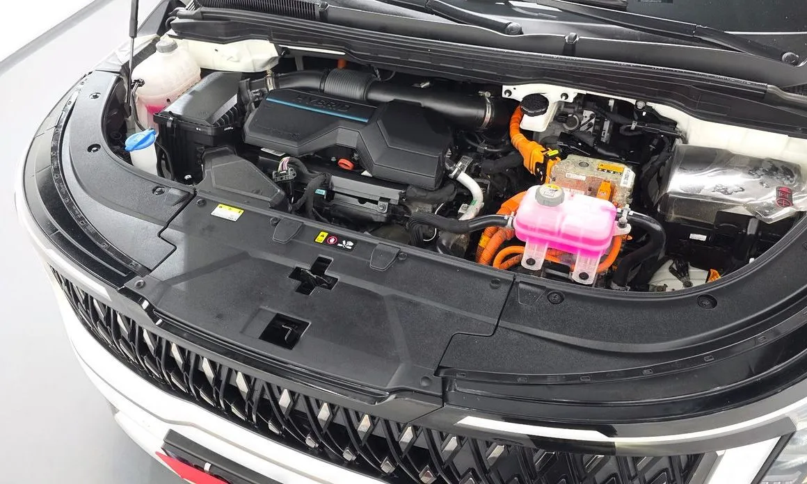 Kia Carnival — фото 10