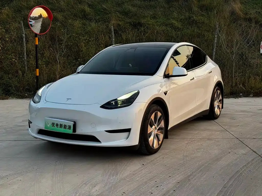 Tesla Model Y — фото 1