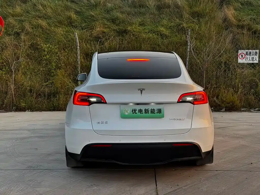 Tesla Model Y — фото 7