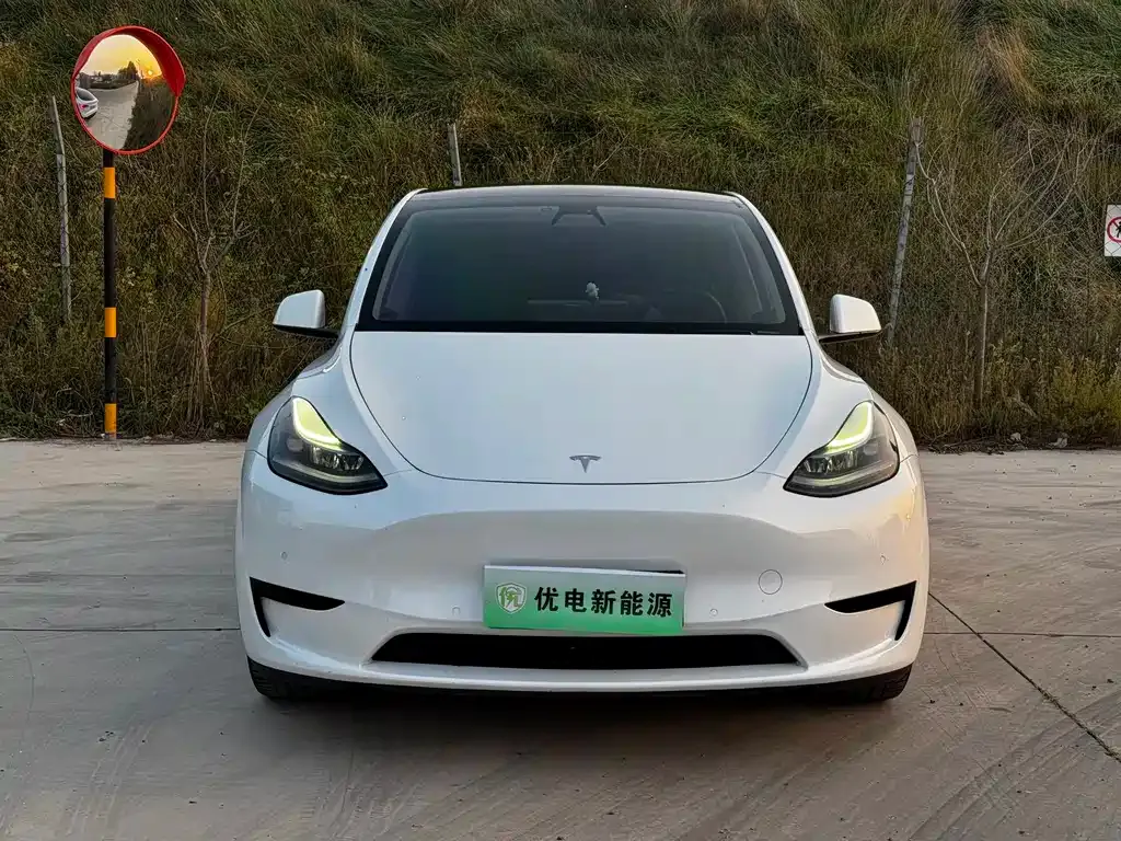 Tesla Model Y — фото 9
