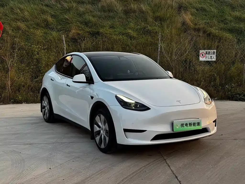 Tesla Model Y — фото 8