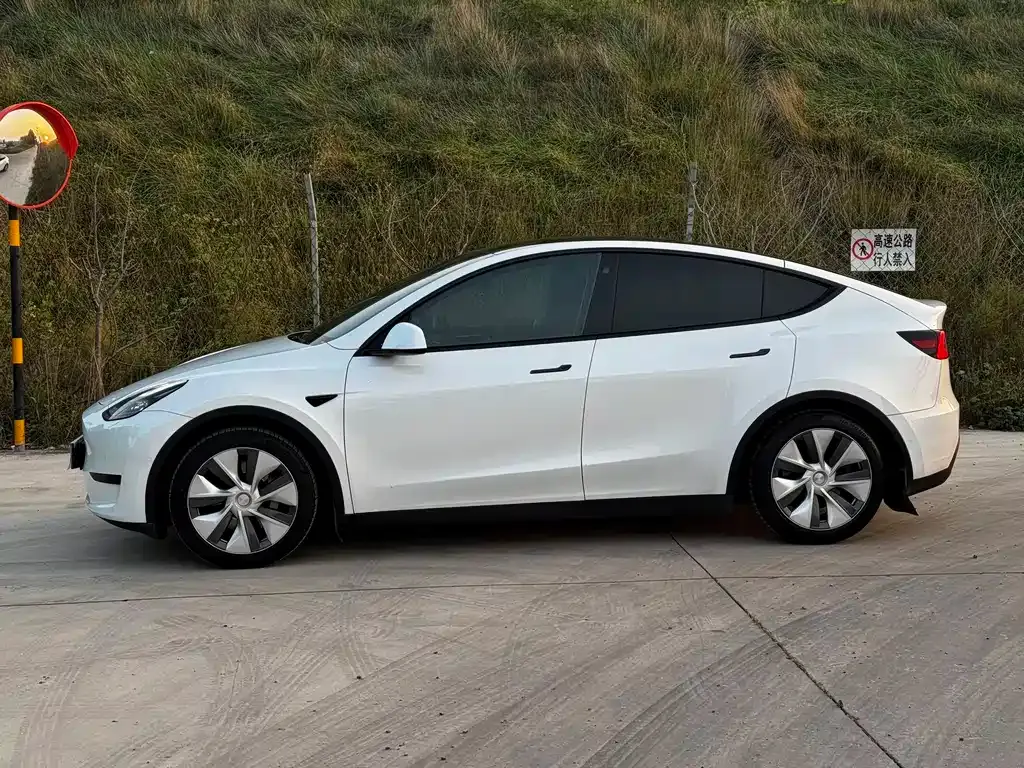 Tesla Model Y — фото 10