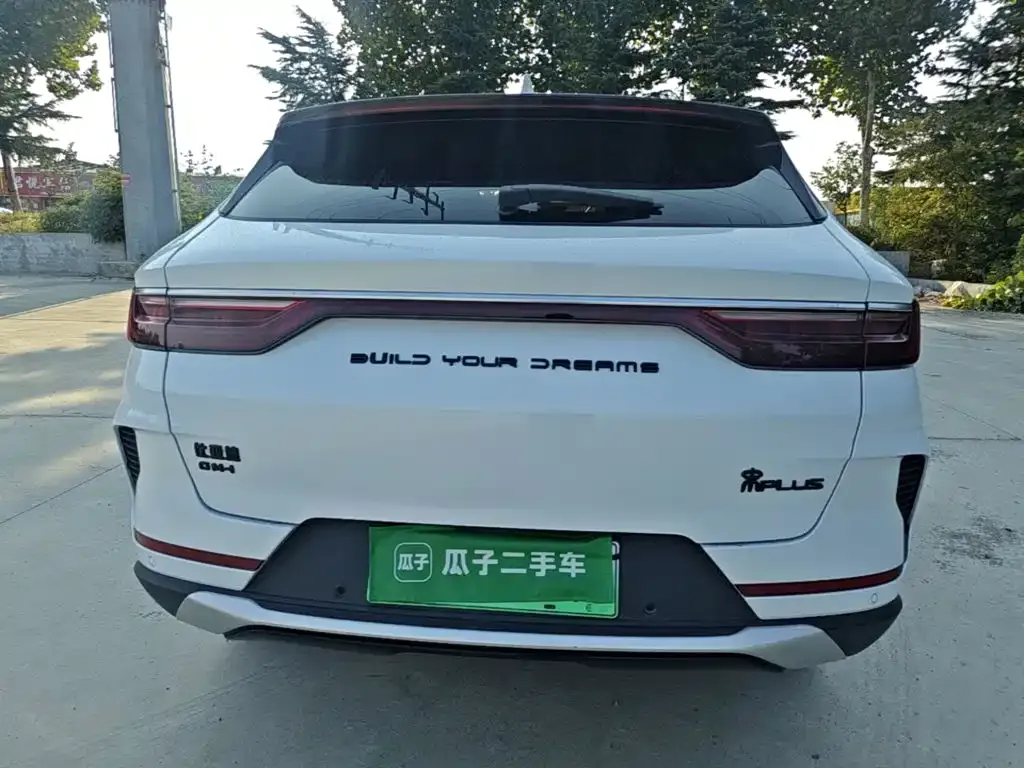 BYD PLUS New Energy — фото 3
