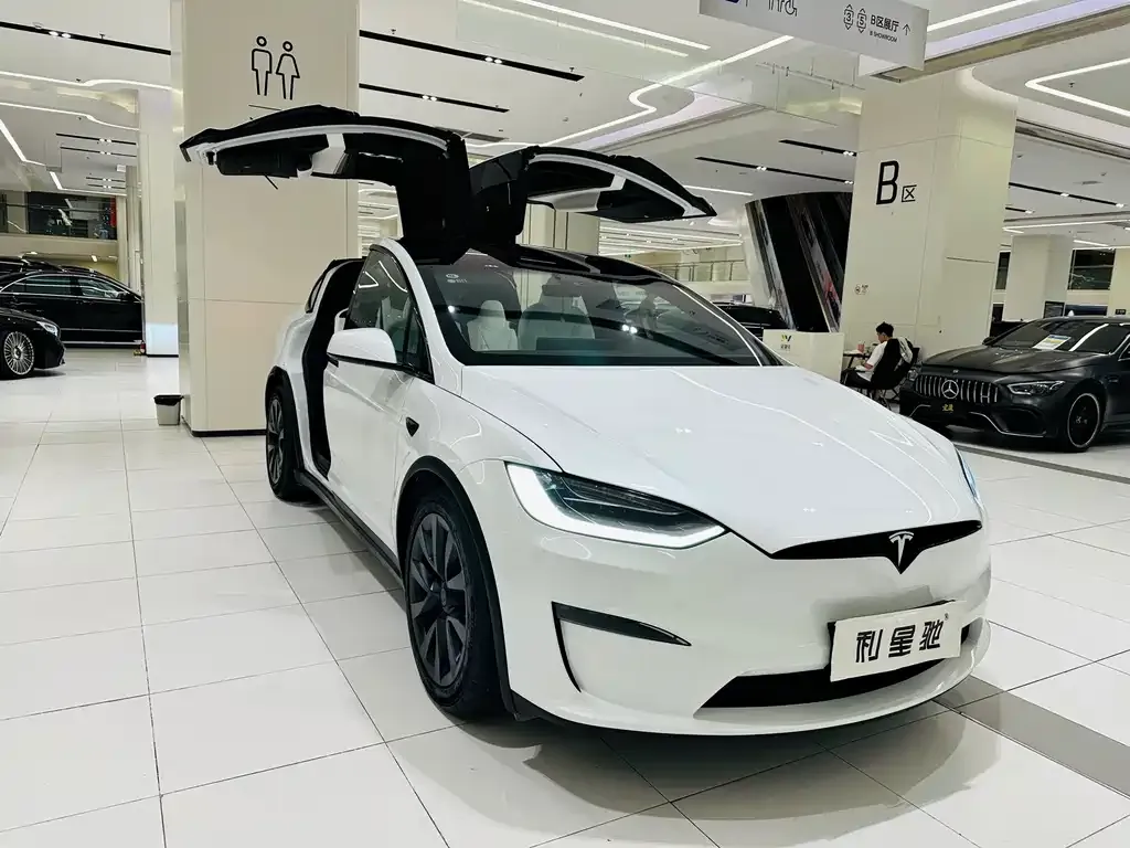 Tesla Model X — фото 6