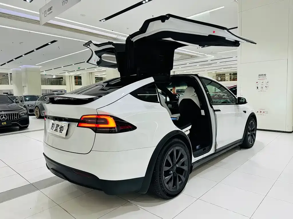 Tesla Model X — фото 8