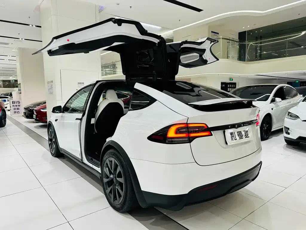 Tesla Model X — фото 3