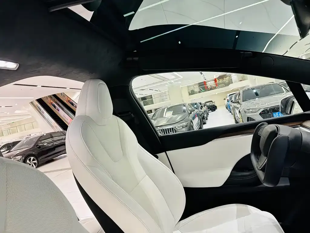 Tesla Model X — фото 4