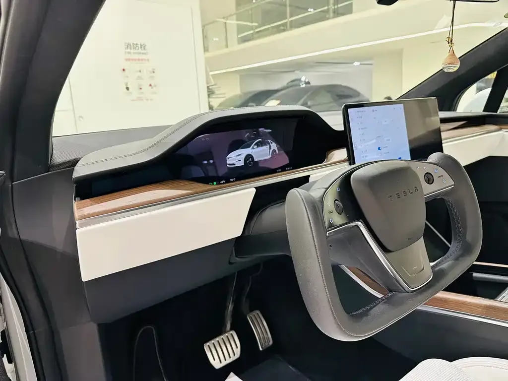 Tesla Model X — фото 10
