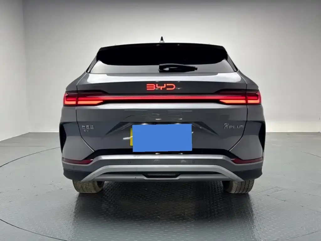 BYD PLUS New Energy — фото 4