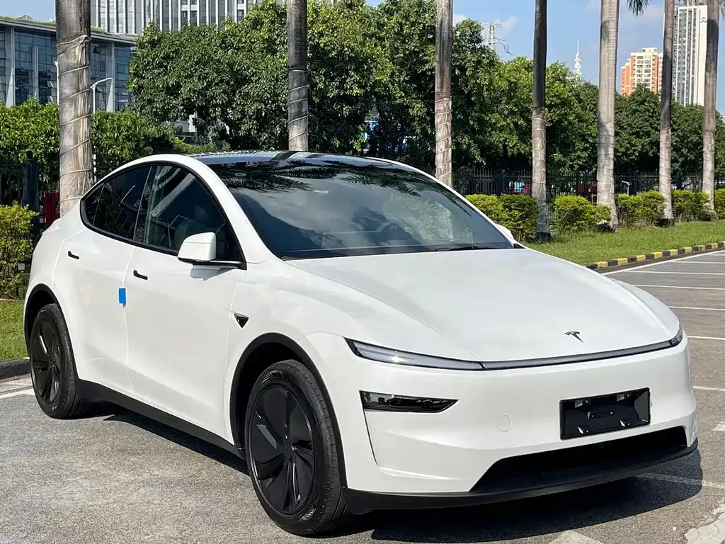 Tesla Model Y — фото 7