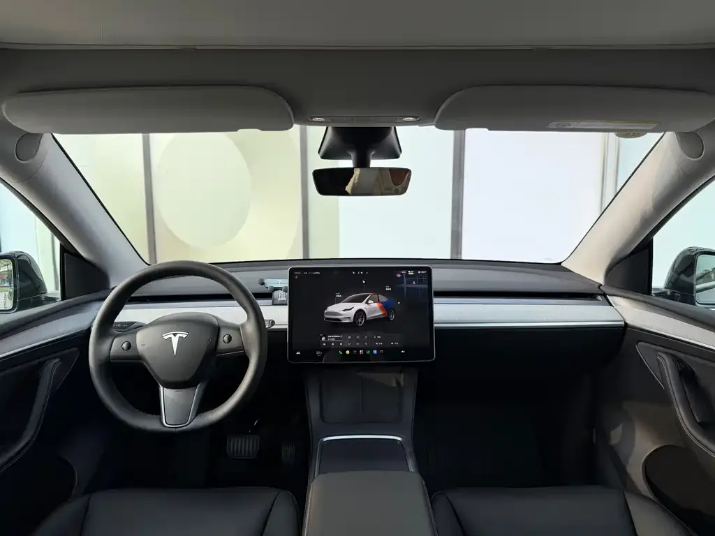 Tesla Model Y — фото 2