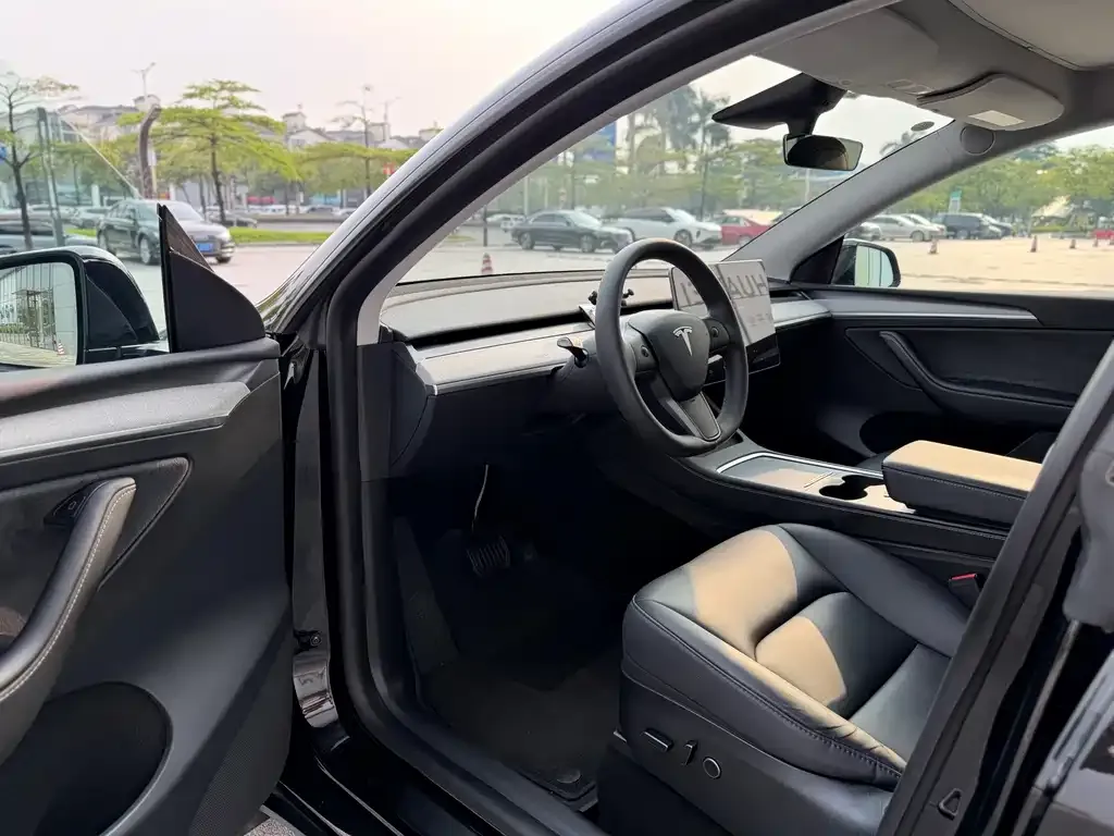 Tesla Model Y — фото 10