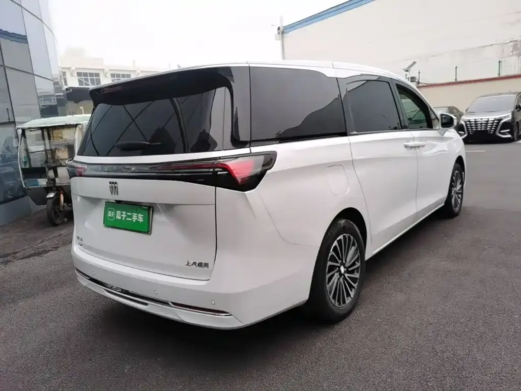 Buick GL8 Hybrid — фото 10