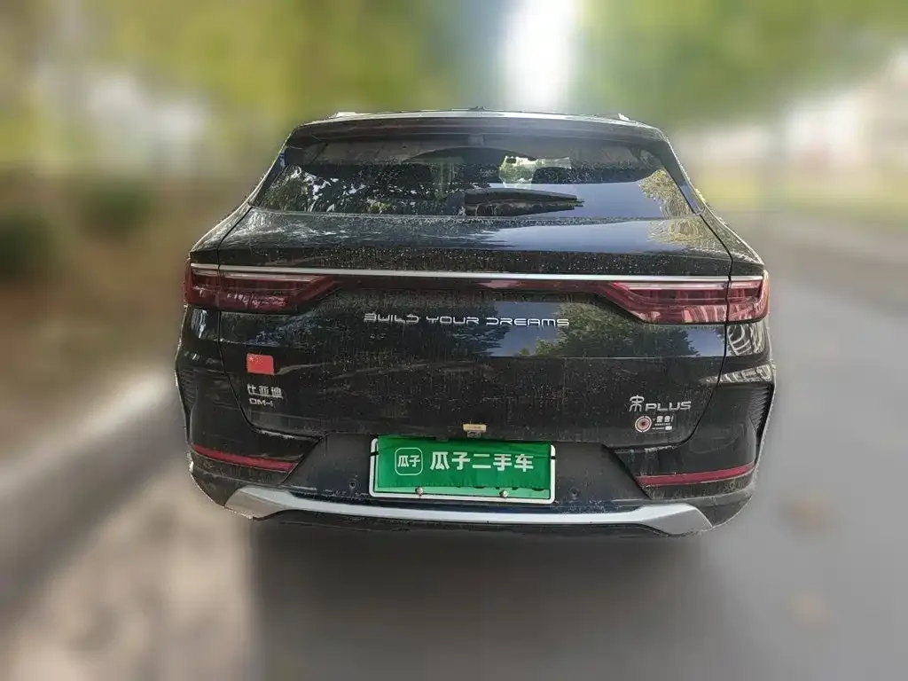 BYD PLUS New Energy — фото 6