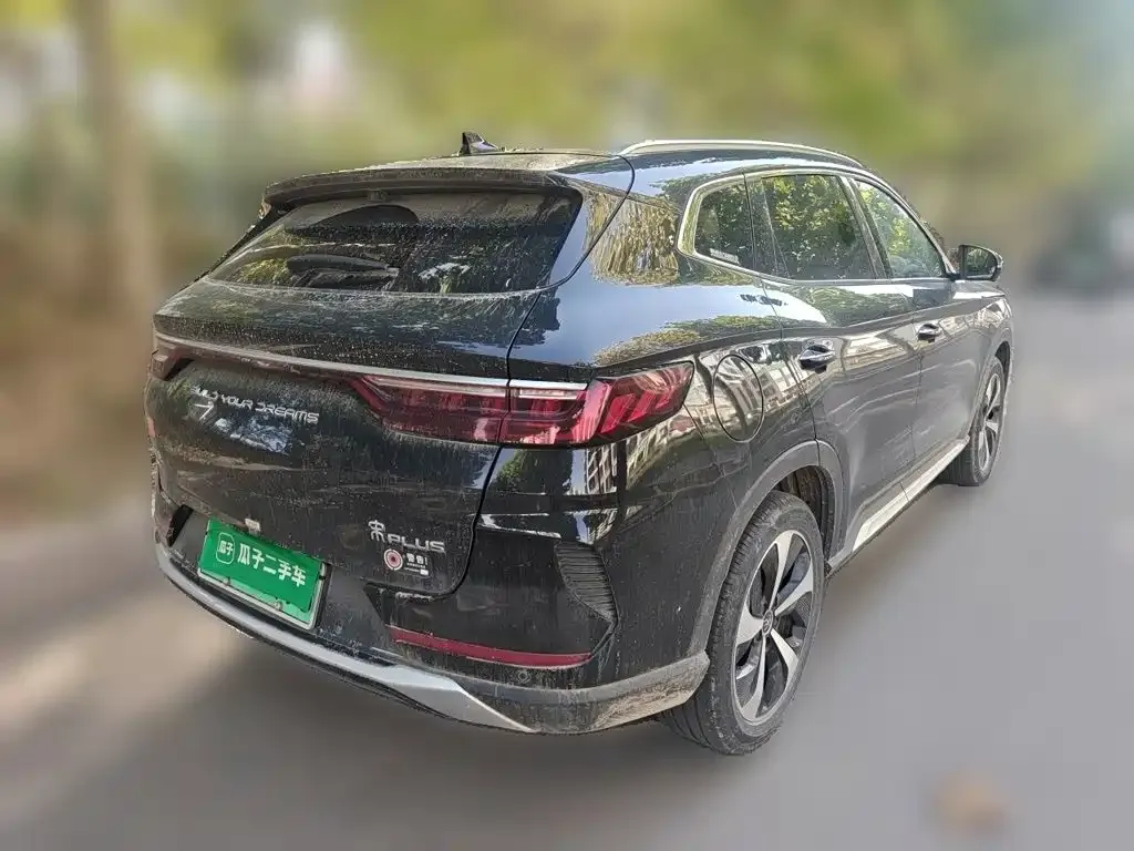 BYD PLUS New Energy — фото 8