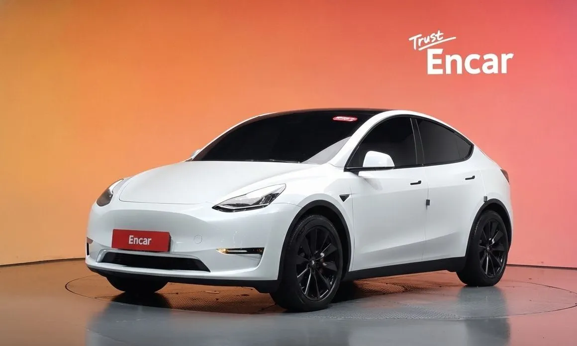Tesla Model Y — фото 1