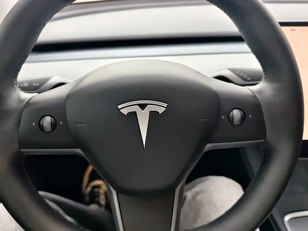 Tesla Model Y — фото 5